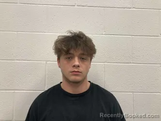 Mugshot of AARON MICHAEL BROWNING