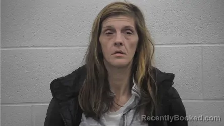 Mugshot of TONYA RENEE LEWALLEN