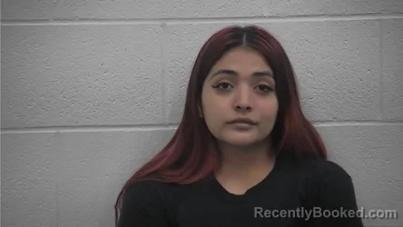 Mugshot of ODALYS DAYNA CASTANEDA