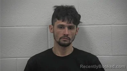 Mugshot of DAVID ALAN WHITFORD