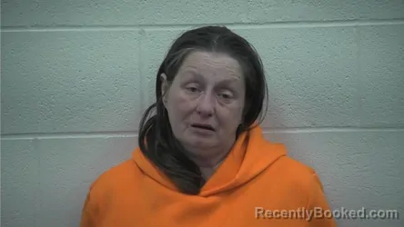 Mugshot of JENNIFER LYNN FARRELL