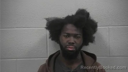 Mugshot of DEMETRIUS MALI FLEMINGS