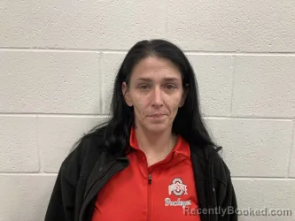 Mugshot of CHRISTY ANNE BROOKS