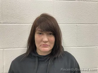 Mugshot of HEATHER NICOLE COOK