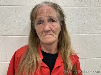 Mugshot of EASTER MARIE GOINS