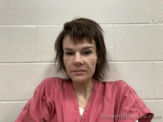 Mugshot of LYNN ANTIONETTE WAYSON booked in Kenton County, Kentucky on April 24, 2026