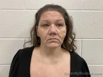 Mugshot of LAURA ANN HENRY booked in Kenton County, Kentucky on May 14, 2026
