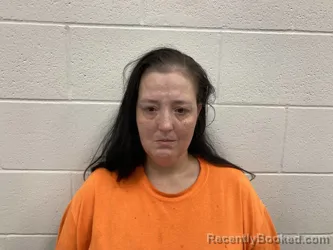 Mugshot of STEPHANIE MICHELLE HICKS booked in Kenton County, Kentucky on June 13, 2026