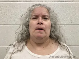 Mugshot of ROBIN LYNN DEBRUYN booked in Kenton County, Kentucky on June 17, 2026
