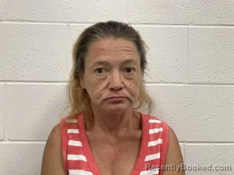 Mugshot of MARY JENA LYNN ALLEN booked in Kenton County, Kentucky on June 17, 2026