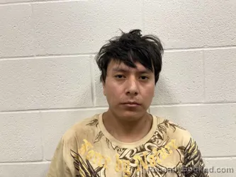 Mugshot of Nery Nmi Perez-Reynoso