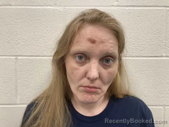 Mugshot of Megan Anne Hensley booked in Kenton County, Kentucky on August 12, 2026