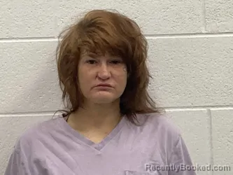 Mugshot of Heather Nicole Cook booked in Kenton County, Kentucky on August 18, 2026