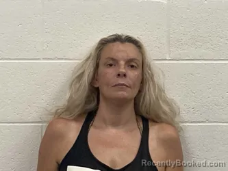 Mugshot of Katherine Lindsey Meiser
