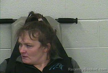 Mugshot of ASHLEY FIELDS