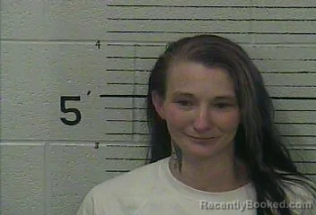 Mugshot of AMANDA R GOWIN booked in Knox County, Kentucky on April 26, 2026