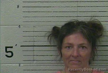 Mugshot of Amy Lee Potter booked in Knox County, Kentucky on August 24, 2026