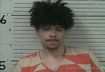 Mugshot of BRYSON JOHNSON