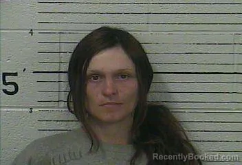 Mugshot of CHEYANNE PERKINS booked in Knox County, Kentucky on April 24, 2026