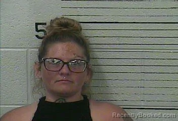 Mugshot of FELISHA N WEDDLE booked in Knox County, Kentucky on June 24, 2026