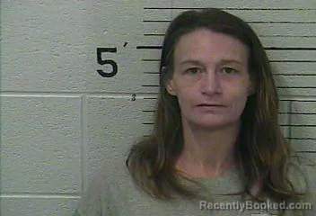 Mugshot of JESSICA ELAINE COX booked in Knox County, Kentucky on May 8, 2026