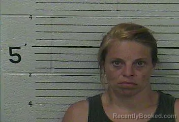 Mugshot of NELLIE NICOLE DAVIS booked in Knox County, Kentucky on April 14, 2026