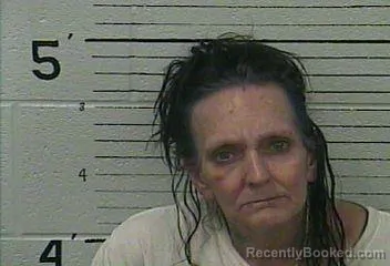 Mugshot of PAMELA DEAN LAWSON booked in Knox County, Kentucky on June 14, 2026
