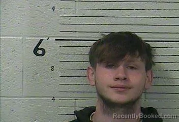 Mugshot of STETSON MILLS