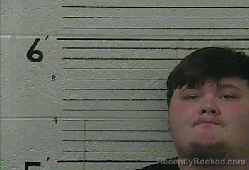 Mugshot of TYLER MCWILLIAMS booked in Knox County, Kentucky on May 11, 2026