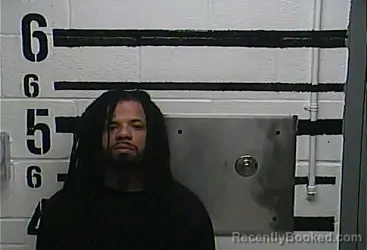 Mugshot of CASEY MONTELL LEE