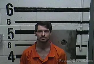 Mugshot of DAVID MICHAEL VANZANDT