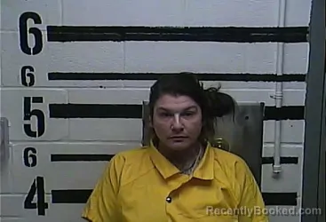 Mugshot of HEATHER JC BELL