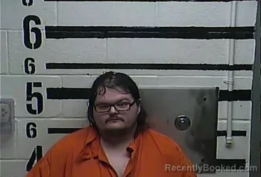 Mugshot of JOHN-TYLER LEE ALLEN