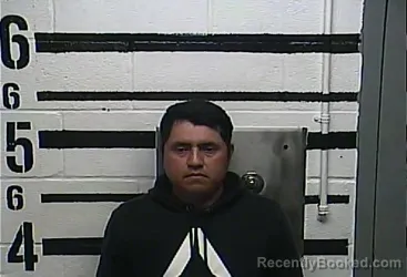 Mugshot of PEDRO LARRAGOITIA FUENTES