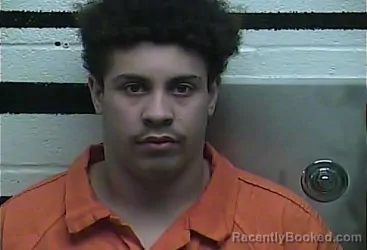 Mugshot of STEPHON ERIC BROWN