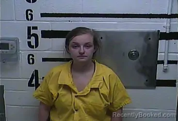 Mugshot of SHELBY LAVINA ANN WILLIAMSON booked in LaRue County, Kentucky on June 29, 2026