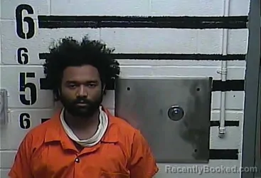 Mugshot of Thelonious Gut Birdsong booked in LaRue County, Kentucky on August 17, 2026
