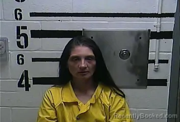 Mugshot of TAUSHA FAYE MCCUBBINS booked in LaRue County, Kentucky on April 2, 2026