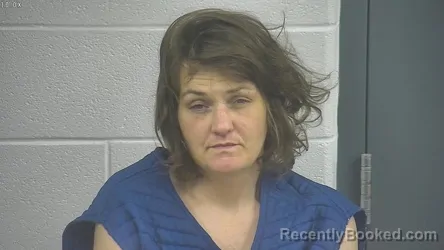 Mugshot of ASHLEY FIELDS