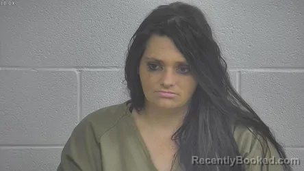 Mugshot of BRIDGETT DOWNEY