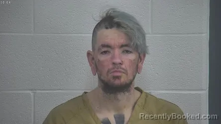 Mugshot of BRANDON HOWARD