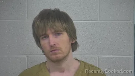 Mugshot of BRANDON NAPIER