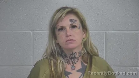 Mugshot of BRITTANY PARKER