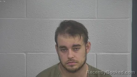 Mugshot of BRAXTON WELLS