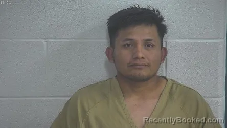 Mugshot of Caal-Xol Marcelino booked in Laurel County, Kentucky on August 27, 2026