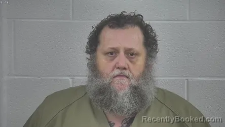 Mugshot of DAVID WAYNE COLLINS