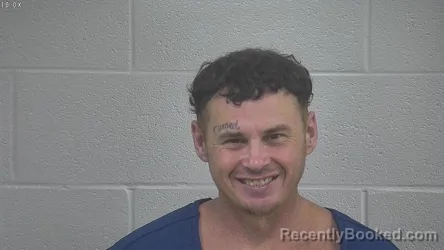 Mugshot of DANNY HIBBITTS booked in Laurel County, Kentucky on June 28, 2026