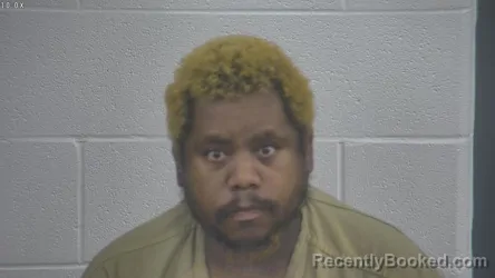 Mugshot of DAVID MARTIN