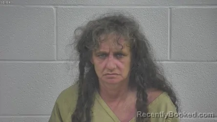 Mugshot of DIANE C WILLIAMS booked in Laurel County, Kentucky on July 5, 2026