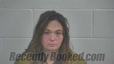 Booking photo from Laurel County, Kentucky